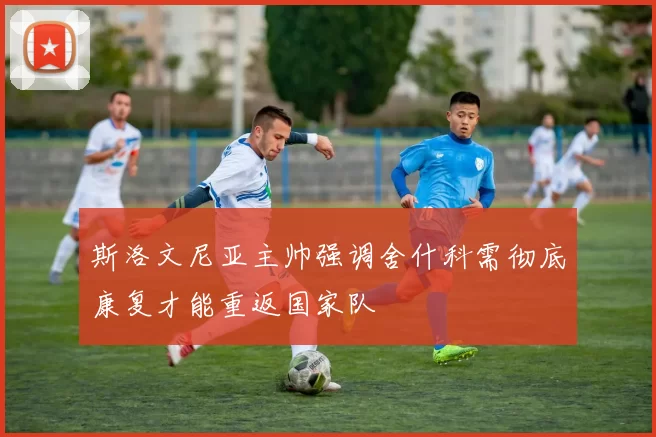 斯洛文尼亚主帅强调舍什科需彻底康复才能重返国家队